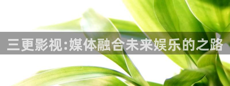 奇优影视将夜