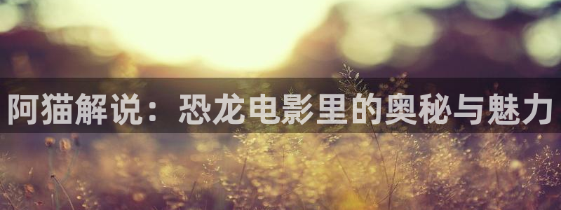 奇优影院手机版免费高清电视剧电影免费观看