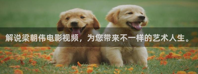 奇优影院手机版免费高清