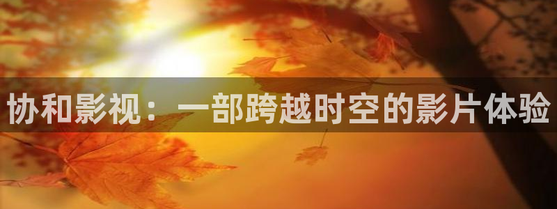 奇优影院电视剧手机版