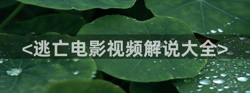 奇优影院手机218在线影视：<逃亡电影视频解说大全>