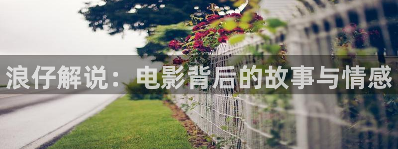 奇优影院在线手机免费播放：浪仔解说：电影背后的故事与情感