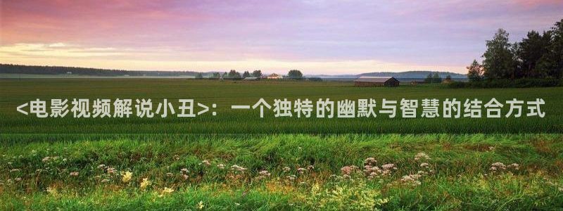 华丽的外出奇优影院：<电影视频解说小丑>：一个独特的幽默与智慧的结合方式