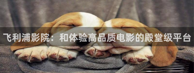 奇优影院第一：飞利浦影院：和体验高品质电影的殿堂级平台