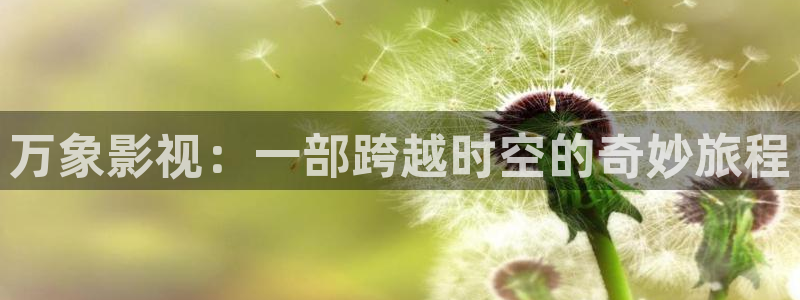 奇优影院手机在线影视：万象影视：一部跨越时空的奇妙旅程