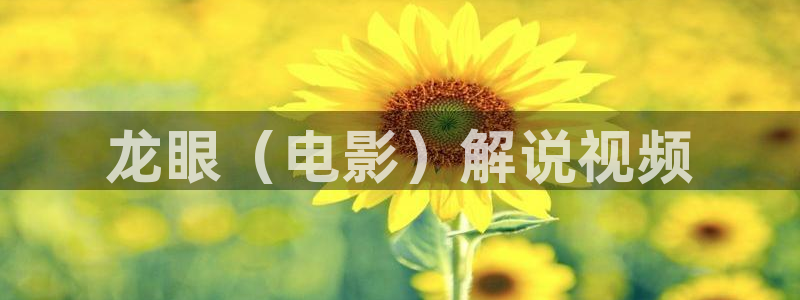 奇优影院在线观看酷客电影：龙眼（电影）解说视频