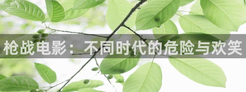 奇优影院手机版免费高清视频：枪战电影：不同时代的危险与欢笑