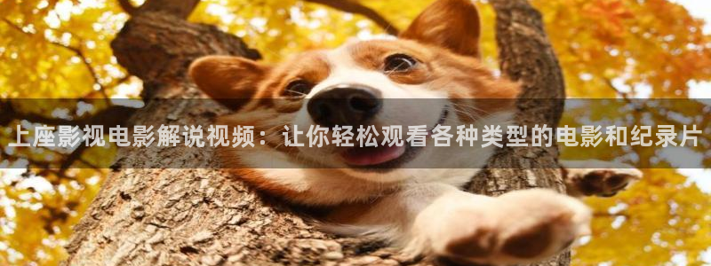 奇优影院官网：上座影视电影解说视频：让你轻松观看各种类型的电影和纪录片