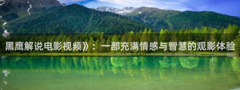 奇优影院电视剧免费观看：黑鹰解说电影视频》：一部充满情感与智慧的观影体验
