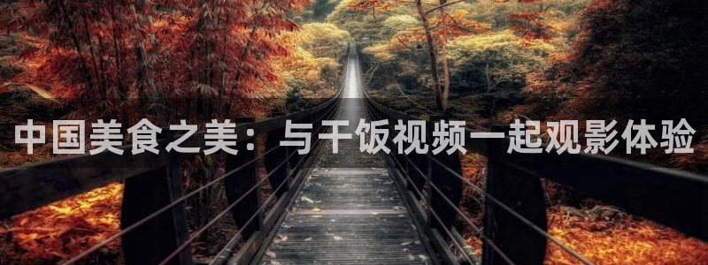 奇优影院手机版在线观看电视剧网站：中国美食之美：与干饭视频一起观影体验