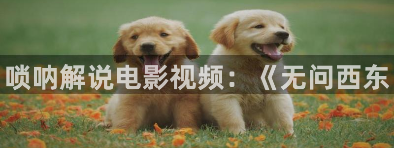 奇优影院手机高清版免费版：唢呐解说电影视频：《无问西东