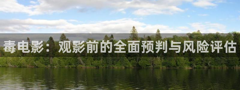 奇优影视网站：毒电影：观影前的全面预判与风险评估