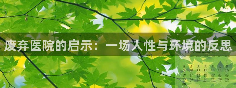 奇优影院好多福利：废弃医院的启示：一场人性与环境的反思