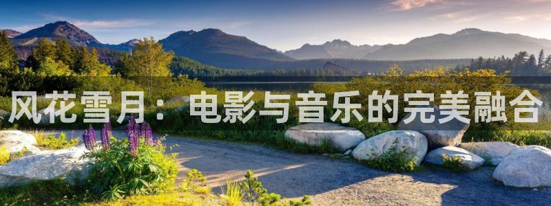 奇优影院电视剧高清免费播放：风花雪月：电影与音乐的完美融合