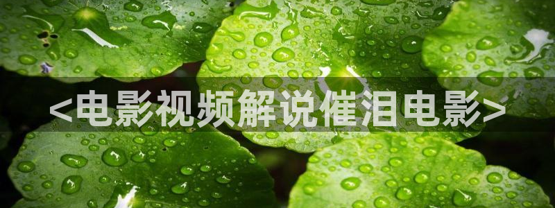 手机版奇优影院免费看：<电影视频解说催泪电影>