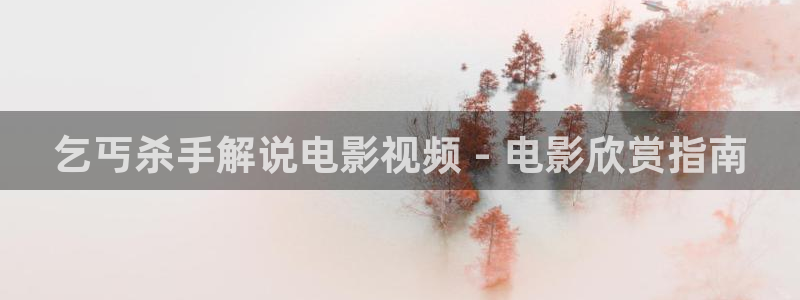 我的姐姐奇优影院：乞丐杀手解说电影视频 - 电影欣赏指南