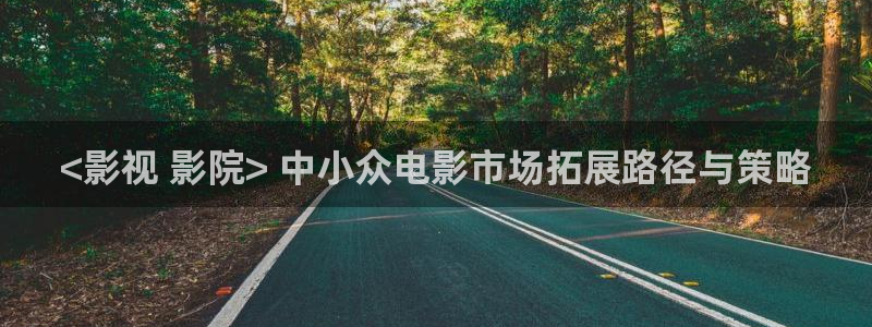 奇优影院手：<影视 影院> 中小众电影市场拓展路径与策略