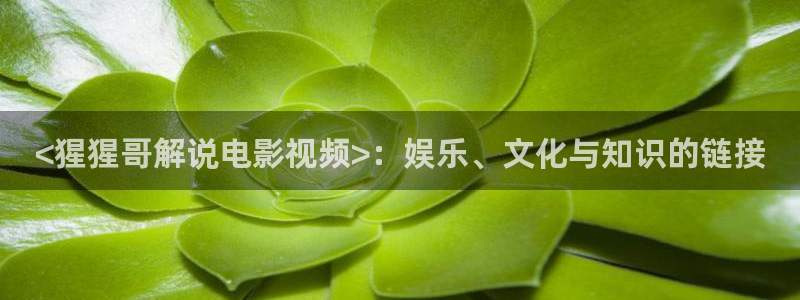 奇优影院手机版在线电视剧免费：<猩猩哥解说电影视频>：娱乐、文化与知识的链接