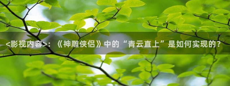 奇优影院伦理：<影视内容>：《神雕侠侣》中的“青云直上”是如何实现的？