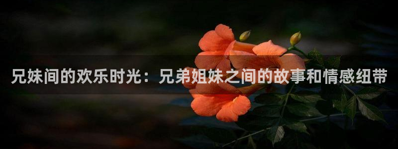 奇优影院手机在线电视播放