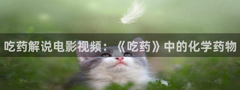 奇优影视手机官网