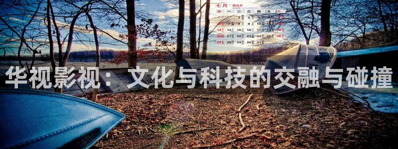 奇优影院手机版伦理片