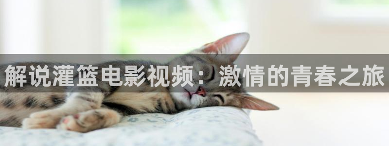 奇优影院手机版手机在线观看