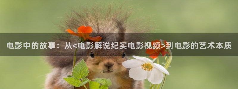 奇优影院手机版在线观看电视剧网站