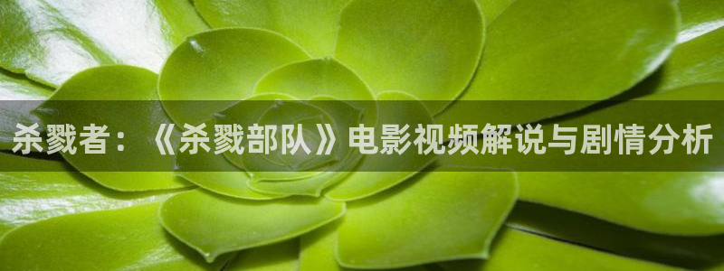 奇优影院6080