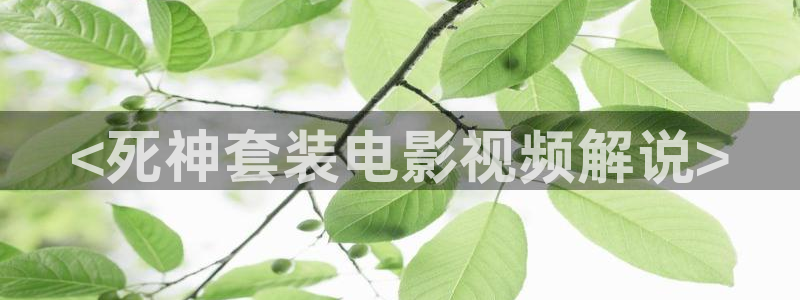 奇优影院手机版电视剧在线观看