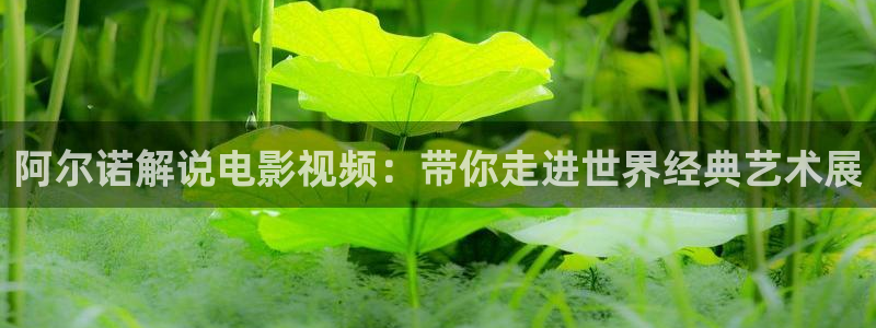 奇优影院手机版最新版本