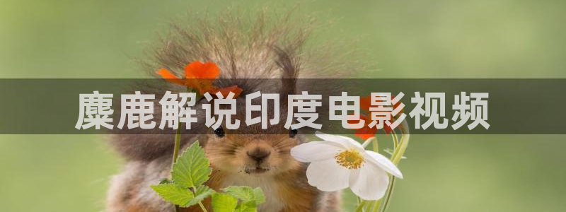 奇优影院免费最新电视剧