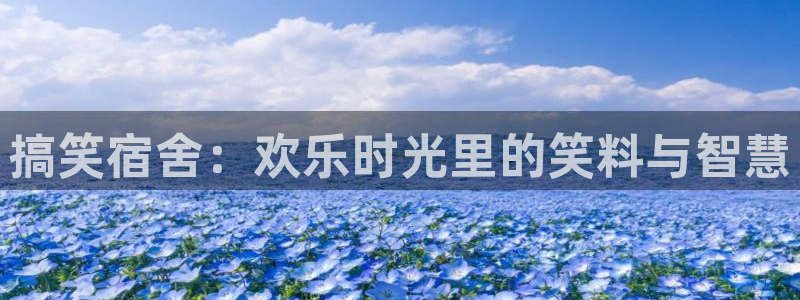 奇优影视手机版全免费