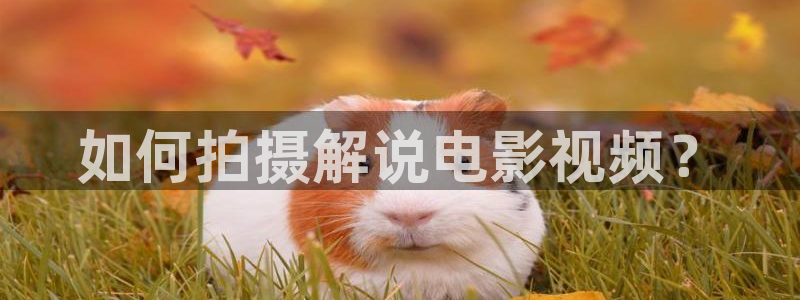 奇优影视下载入口