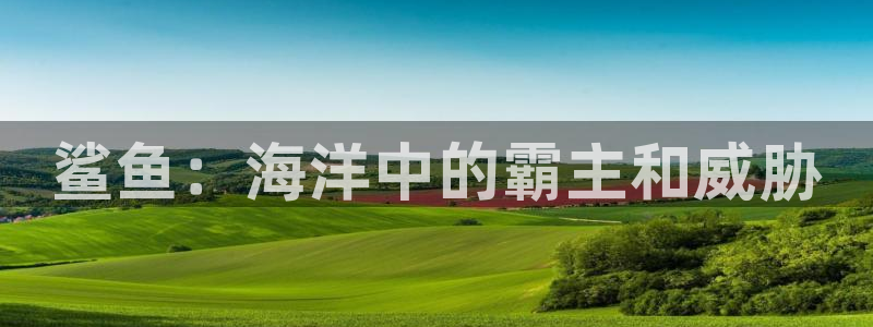 奇优影院怎么免费看剧