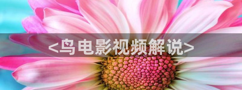 奇优影院手机版免费高清电影在线观看：<鸟电影视频解说>