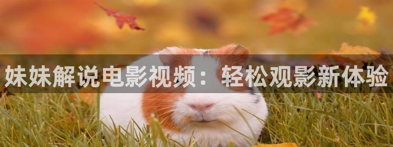 奇优影院手机电视剧免费在线观看：妹妹解说电影视频：轻松观影新体验