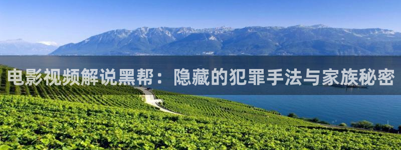 奇优影视手机版电视剧高清